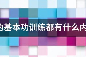 青少年篮球教学训练指导手册内容有哪些